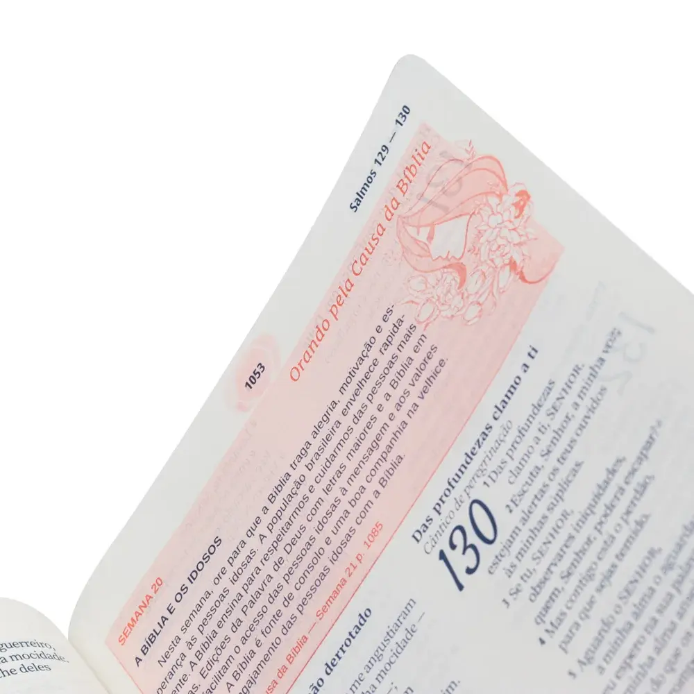 biblia da mulher 3.webp