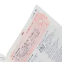 biblia da mulher 3.webp