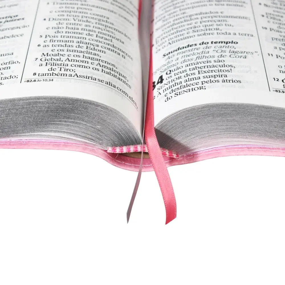 337773-2.webp