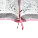 337773-2.webp