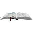 primeiros passos 2.webp