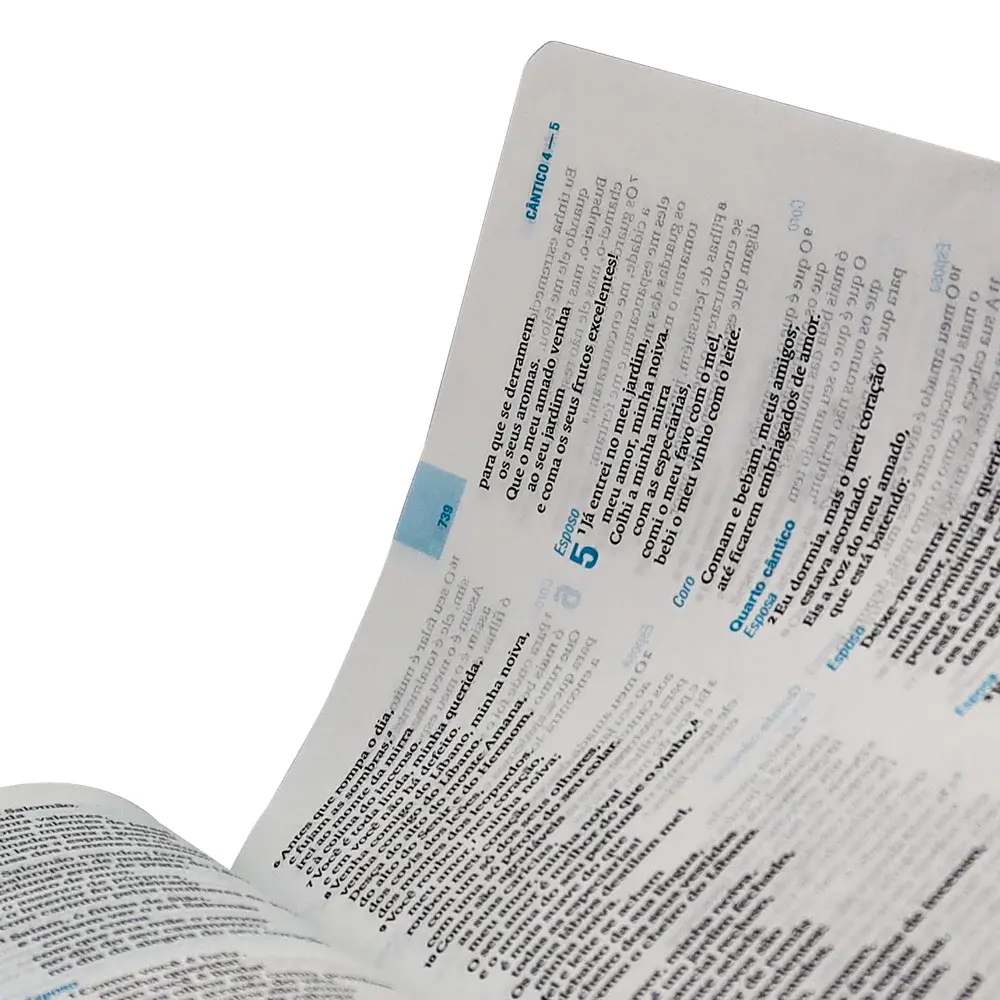 primeiros passos 3.webp