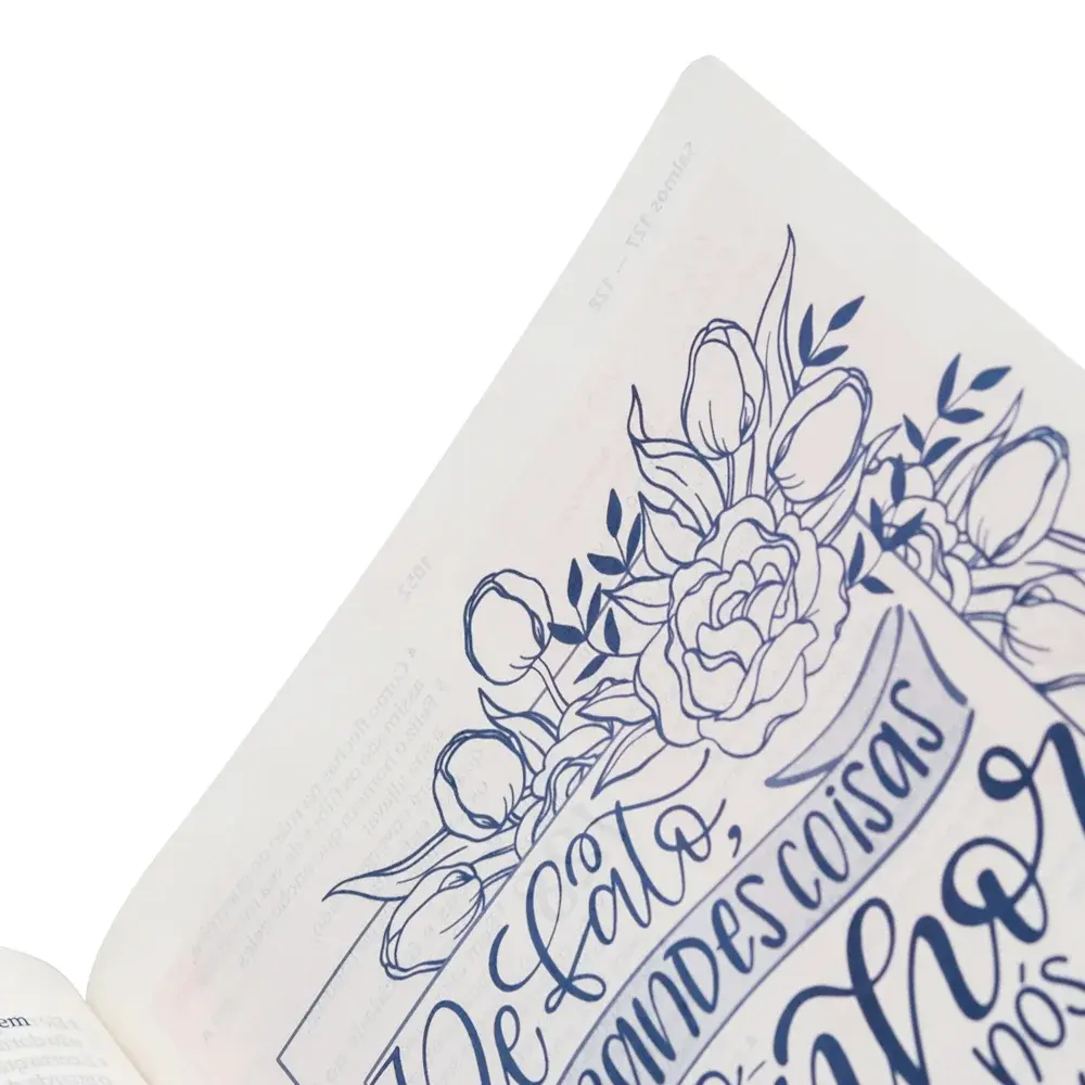 biblia da mulher 4.webp