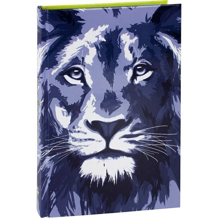 BIB ECON LEAO AZUL CP DURA ILUSTRADA BEIRA AZUL