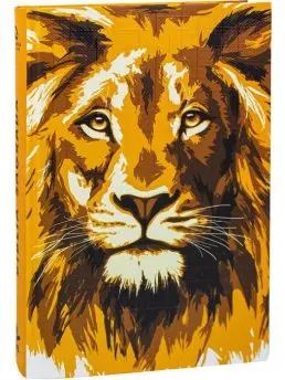 BIB CP DURA ILUST P-FLECHA