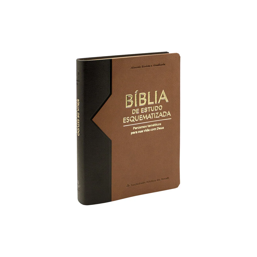 BIB ESQUEMAT CP SINT MARROM VINHO ASTON