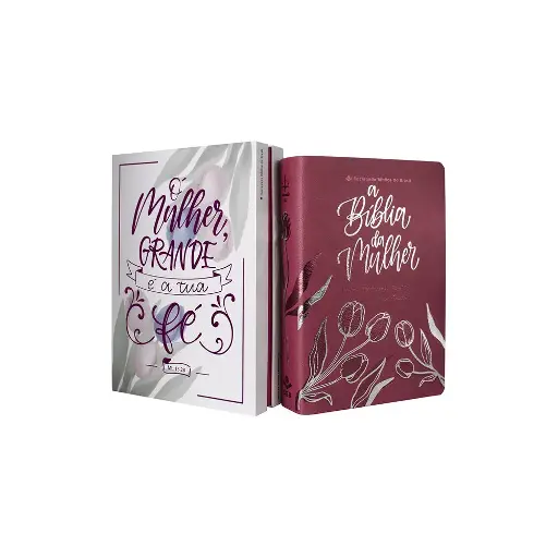 [ARC065NBEM-RS] BIB EST MULHER CP SINT ROSA