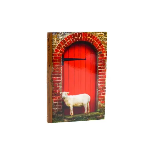 [NA0260LGI-PORTA] PORTA NOVO TEST CP BROCH ILUST