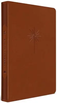 [MC11753] Bíblia Filament | NVT (Letra Grande, Castanha)